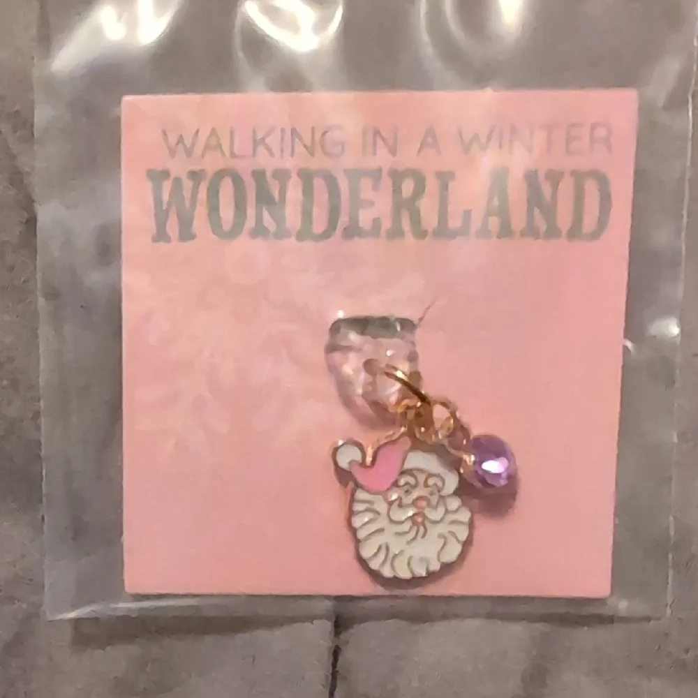 Wonderland 'Walking in a Winter' Santa Charm/USB-C Plug Cover